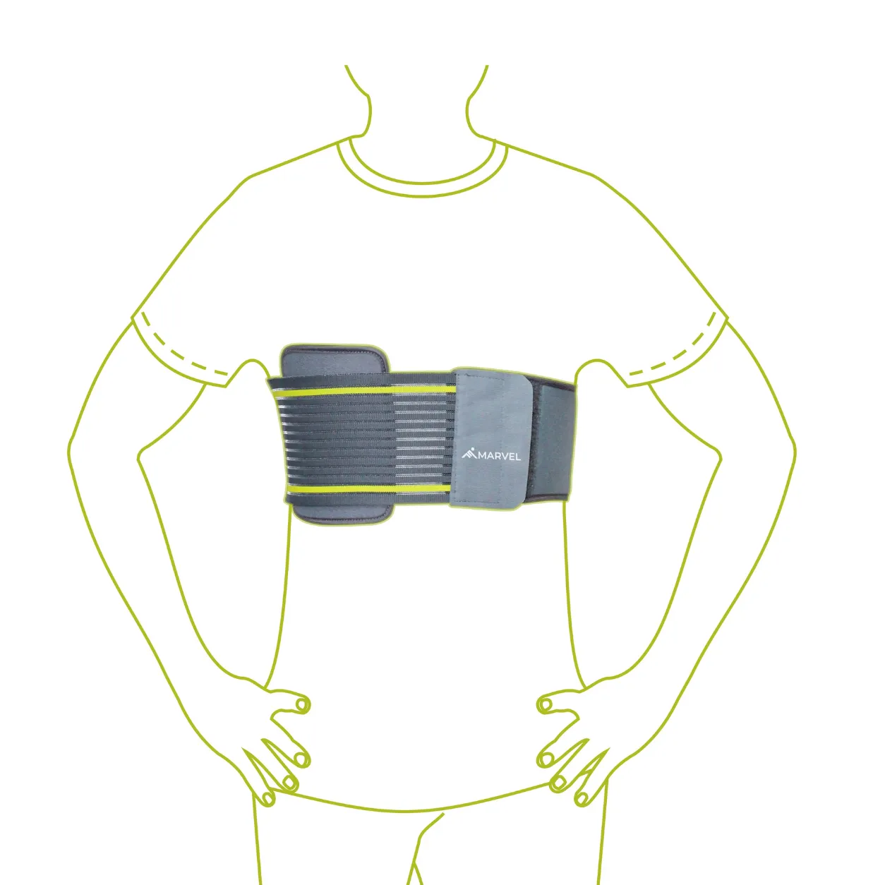 Rib Belt Male